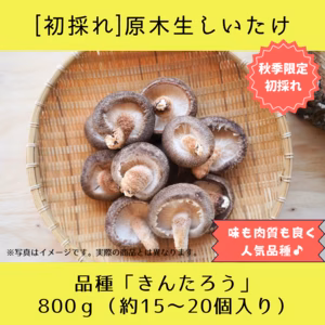 【初採れ】オーガニック原木干し椎茸-品種『きんたろう』／800g