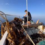 松坂俊秀 | 松坂漁業部