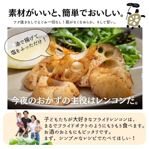 レンコン 楽天市場】【ふるさと納税】野菜【先行予約】【2026年1月初旬より順次