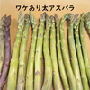 春どり太アスパラ　お得な訳あり品