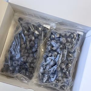 ◉群馬県産◉品種別◉冷凍ブルーベリー◉1kg◉農薬不使用