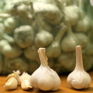 能登のカキ殻で大事に育てた【能登産】ホワイト6片にんにく