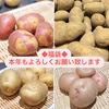 【福袋2022】じゃが4種たべくらべセット