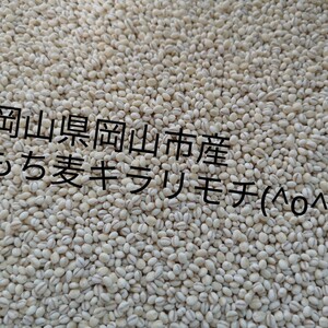 令和３年産✩もち麦キラリモチ*毎日限定2セット✰︎