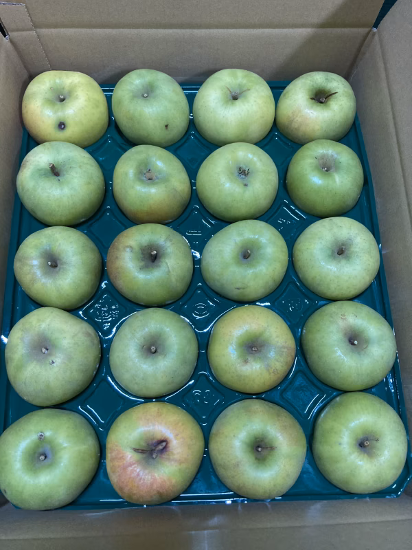 幻のりんご青林　訳あり家庭用5キロ18-28