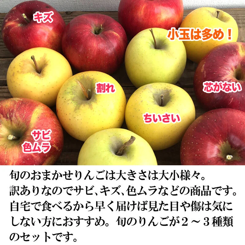【旬のおまかせ]】 信州りんご 訳あり約2.5kg 7～14玉#NAX0B025