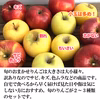 【旬のおまかせ】信州りんご 加工用約2.5kg 7～16玉#NAX0C025