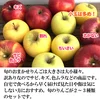 【旬のおまかせ】信州りんご 加工用約2.5kg 7～16玉#NAX0C025