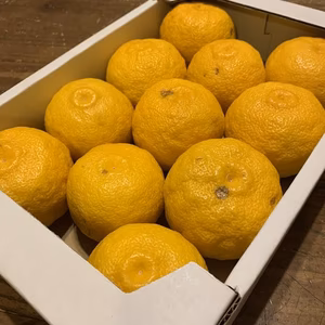 しまんと　四万十 柚子 ＊贈答用 優品 約1.5㎏(2L11～12玉)＊ 高知 