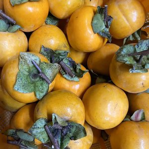 干し柿用 おがき ※送料無料※橋本市ふるさと便