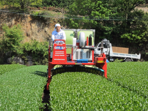 高木茶園
