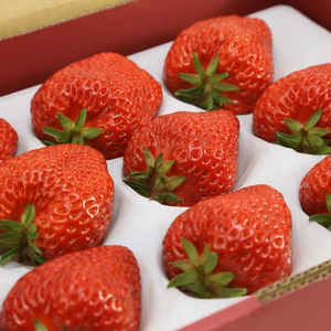 ヘタ下までしっかり甘いいちごです！贈答用大粒紅ほっぺ