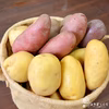 淡路島産玉ねぎfeat.新じゃがいも食べ比べ詰め合わせ