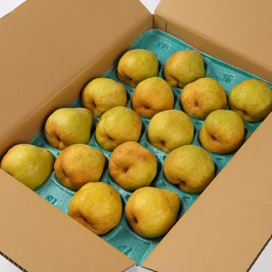 11月お届け！【訳ありラフランス！】 約2㎏ ご家庭用に！