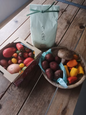 みんなの投稿の画像