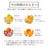 愛媛の旬のかんきつを詰め合わせ！バラエティセット 訳あり3kg