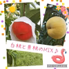 訳あり、山形県産桃２㎏【白桃と黄桃のMixですよー♪】