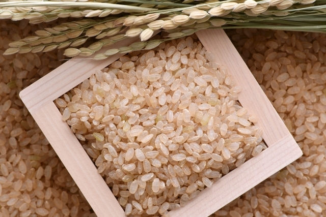 農家直送　和歌山産　にこまる　玄米15キロ　精米無料　無消毒　令和7年産！！ 令和7年度産 自然栽培米「にこまる」玄米｜玄米の商品詳細｜ポケット