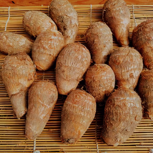 自然栽培　里芋（2kg）