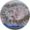 【天然モノ】旬の味をギュッと凝縮！お刺身鮮度の冷凍真鯛(500g×2パック)