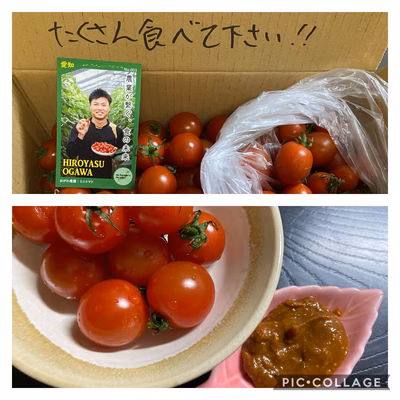 みんなの投稿の画像