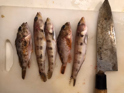 みんなの投稿の画像