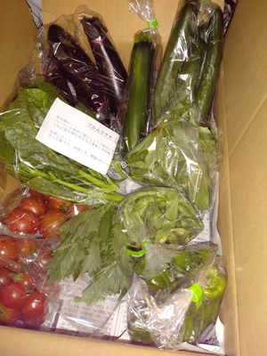 みんなの投稿の画像