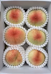 岡山県産　白桃　あかつき【ご自宅用】【訳アリ品】4〜7玉入り