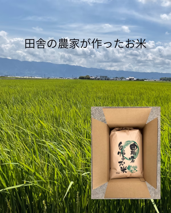 【令和7年産】福岡県産お米 夢つくし玄米5kg 10kg　特別栽培農法