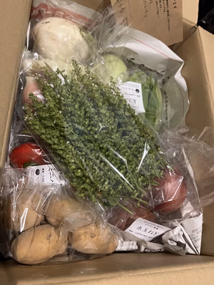 みんなの投稿の画像