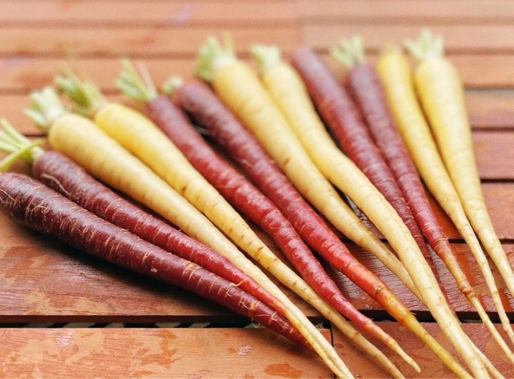 カラフル野菜農家のカラダ喜ぶ『お試しS秋冬のカラフル野菜セット6品目