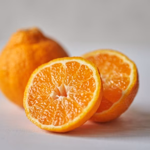 贈り物に完熟不知火デコ  