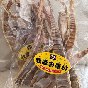 【我夢舎羅村特産品】筍の素材の詰まった一品　乾燥たけのこ