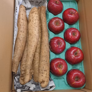 初冬の収穫セット❕『りんご』&『長いも』ご家庭用 数量限定❗