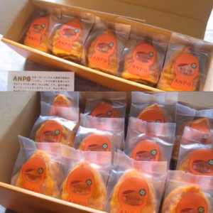 【季節限定】とろりと甘〜いあんぽ柿「ANPOちゃん」セット　5個&12個入り
