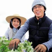 自然栽培 固定種グリーンパプリカ 農薬 肥料不使用 ヨーロッパ種 農家漁師から産地直送の通販 ポケットマルシェ