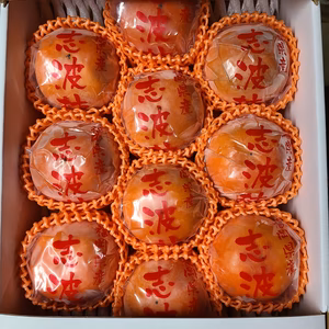 冷蔵保存 (志波柿)   2Ｌサイズ