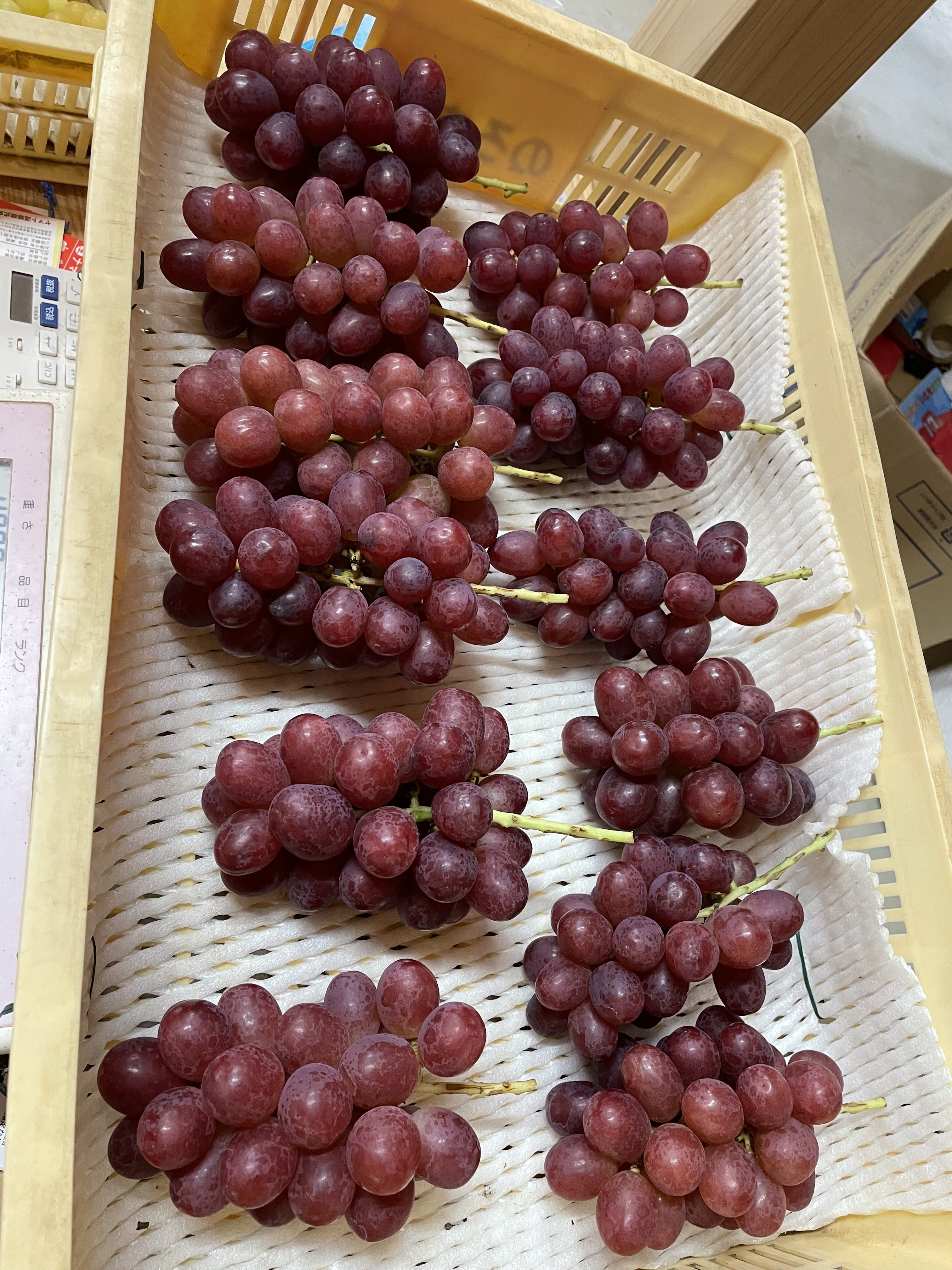 [長野県限定品種]クイーンルージュ 850g(3-4房) 850g(3-4房)