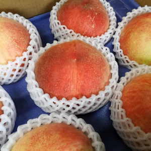 桃　白鳳３kg箱入