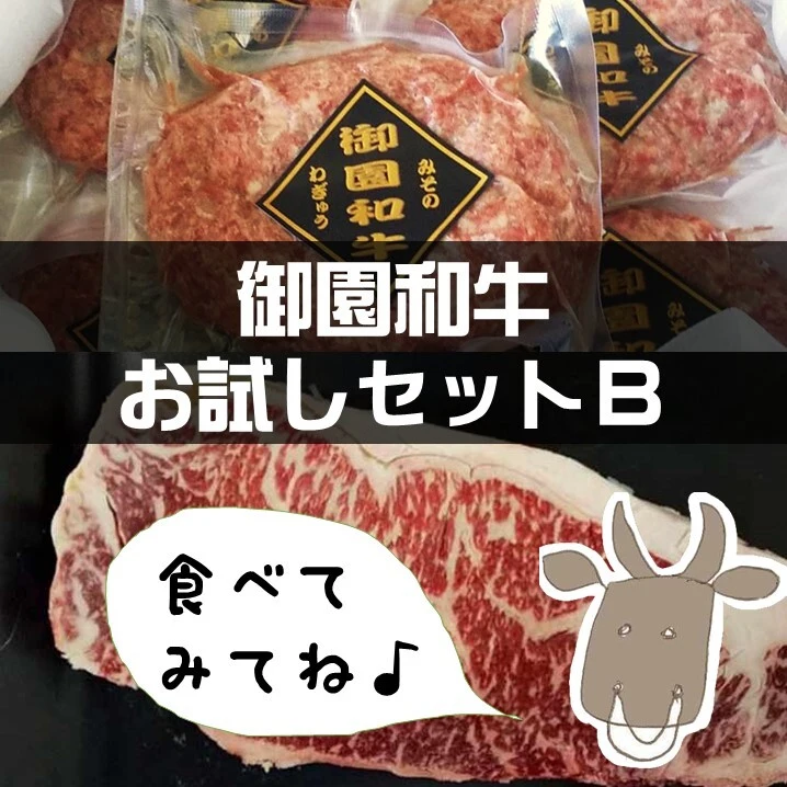 御園和牛　お試しセットB