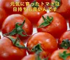 【父の日ギフト】『ぴちぴちトマト フルティカ 』1kg