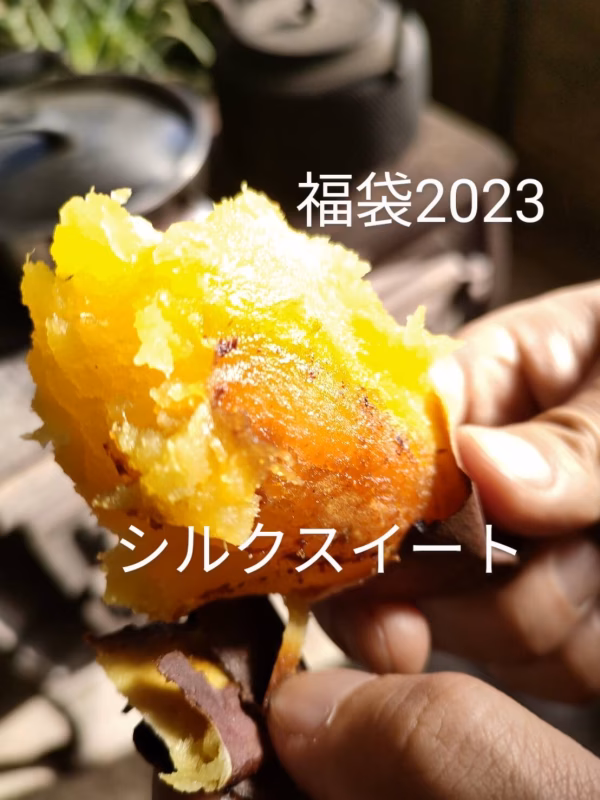 【福袋2023】シルクスイート10kg(特別価格)