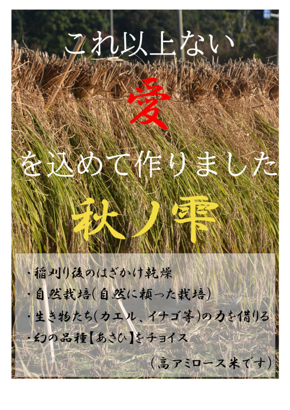 日本製 2022年朝日米１０kg玄米 たけ爺ブランド米 栽培期間中無化学