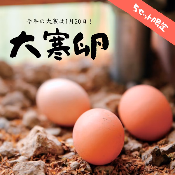 栄養た～っぷり！大寒ふくたまご10個パック×2(数量限定)