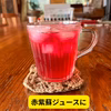 農薬不使用　赤紫蘇　葉　　　1、5kg