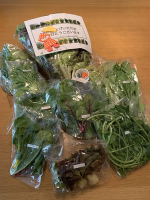 みんなの投稿の画像