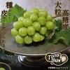 贈答用＊超大粒シャインマスカット2房＊1.4kg7月下旬【ポケマルの夏ギフト】