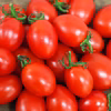 アウトレットシュガープラム2kg　高糖度ミニトマト(300020)