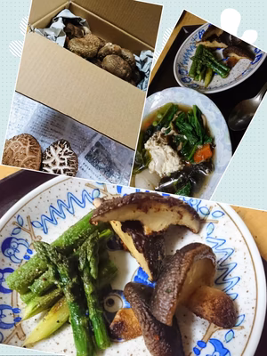 みんなの投稿の画像