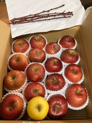 みんなの投稿の画像